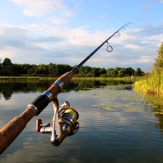 icon of EndlessFishingBot