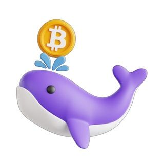 icon of whale screener