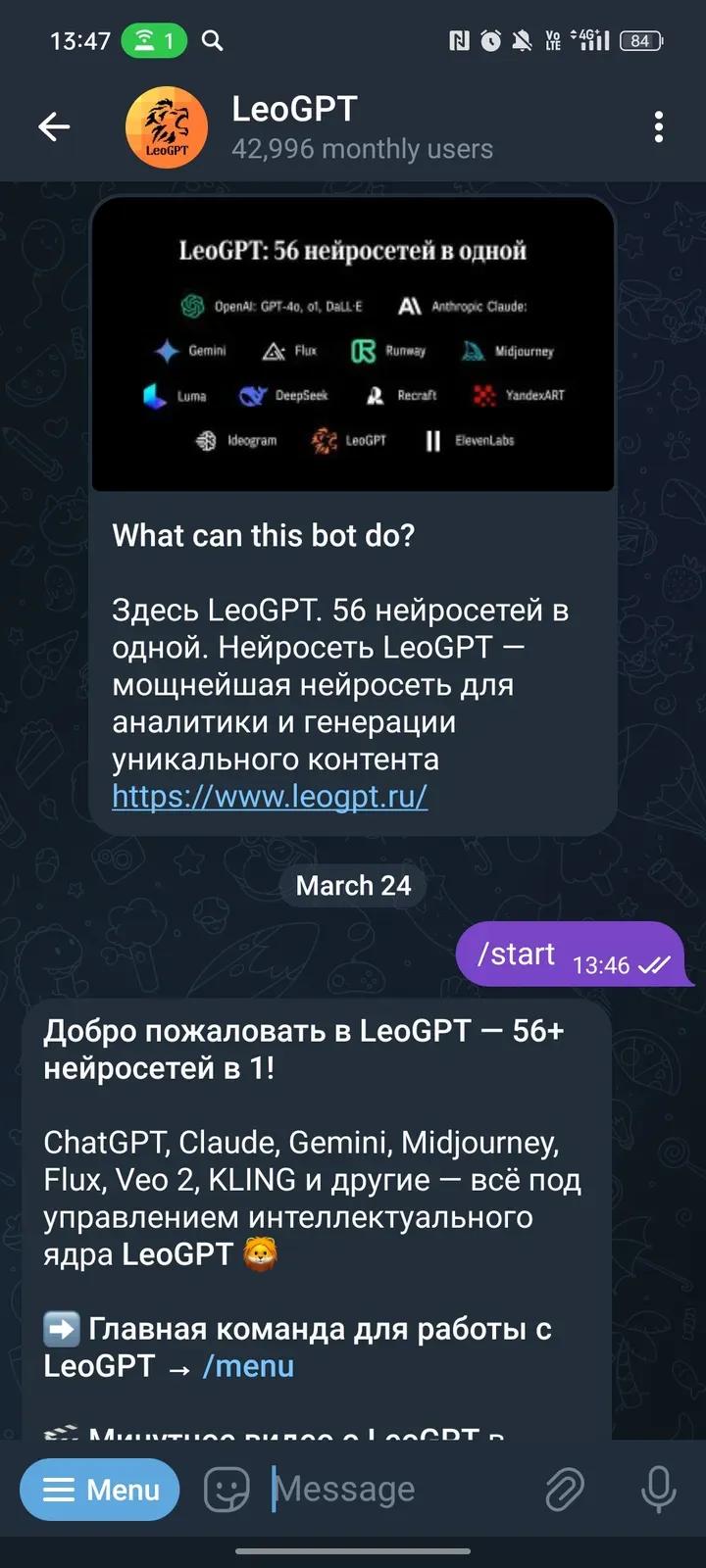 LeoGPT 1