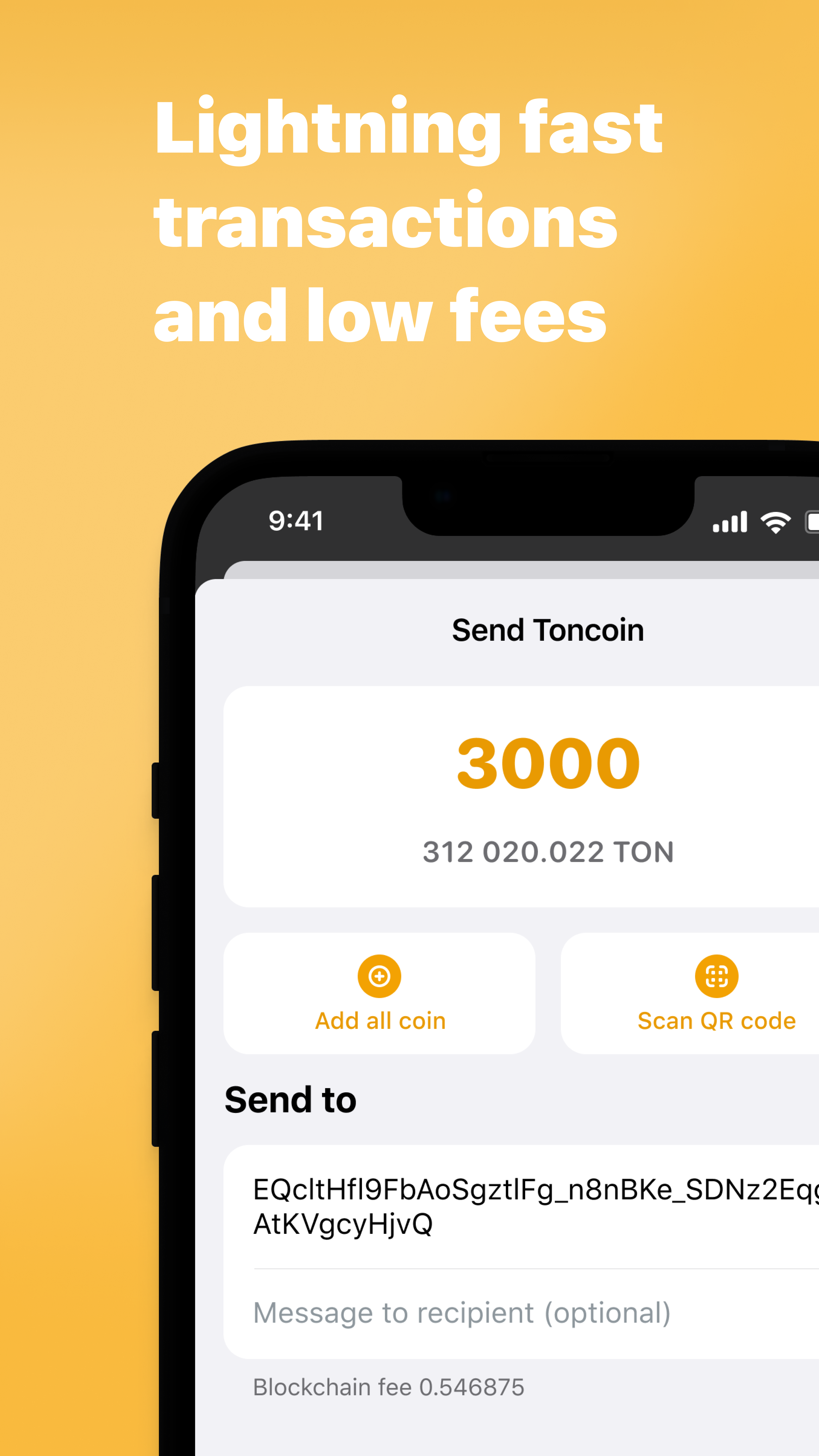 Development Wallet 3