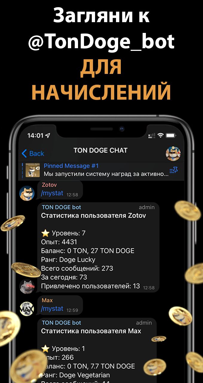 TON DOGE COIN CHAT 3