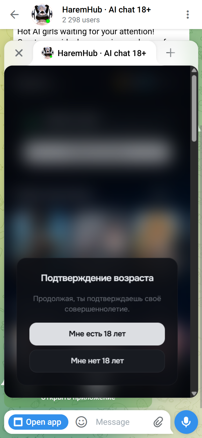 HaremHub mini app age confirmation