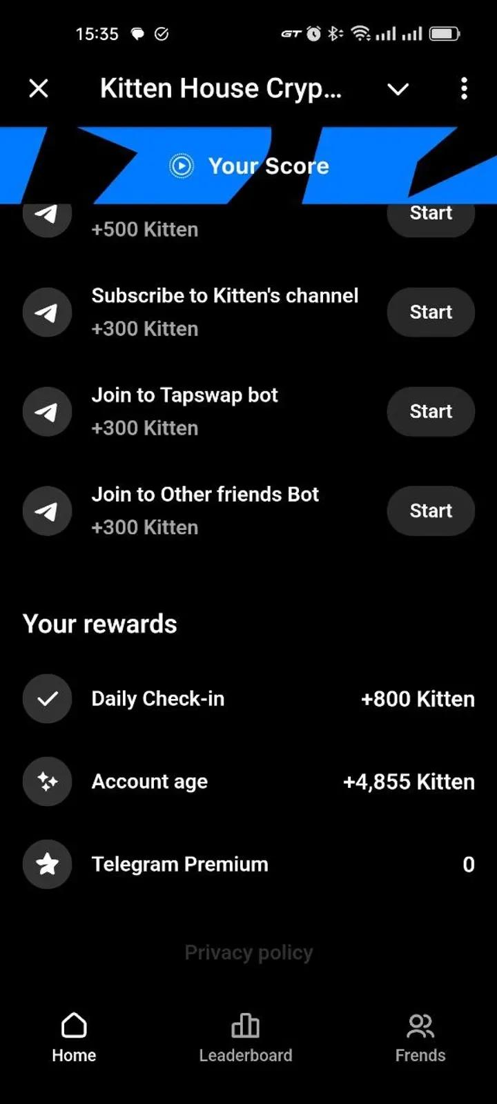 Kitten House Crypto 6