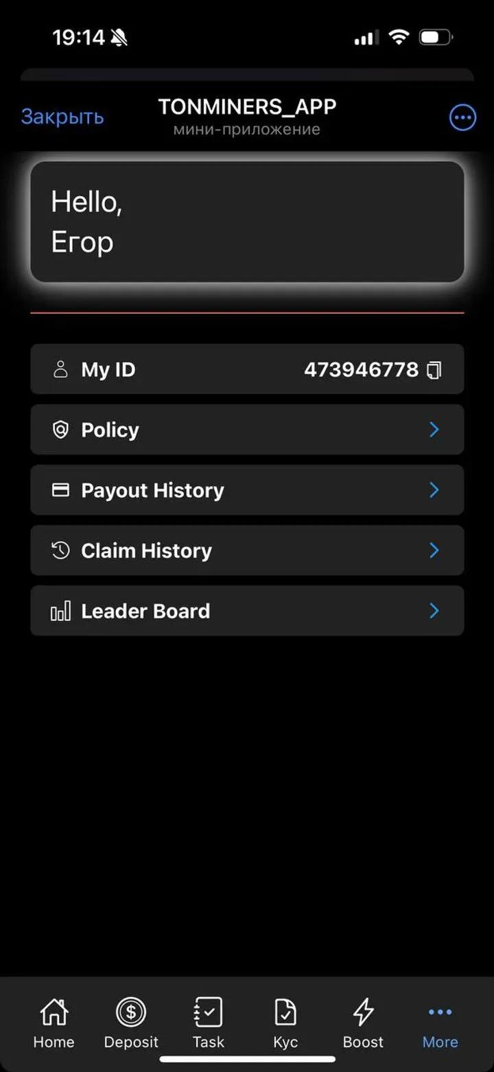 SEI BEAR APP 4