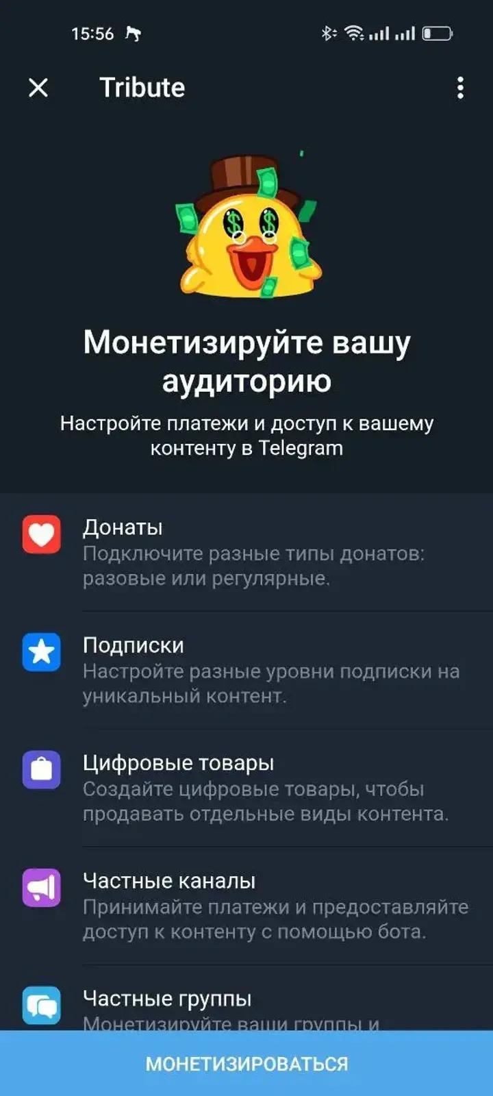 Tribute 4