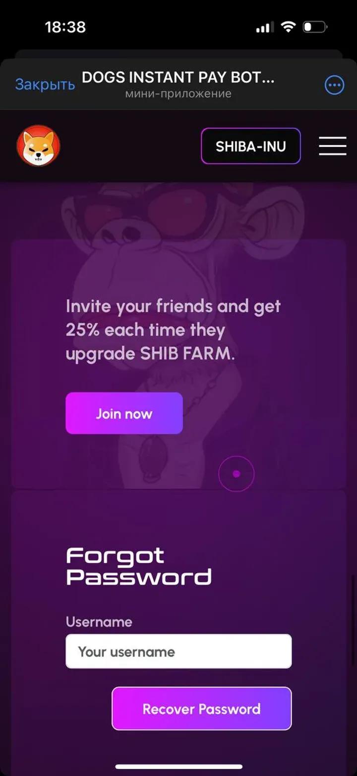 DOGS INSTANT PAY BOT 🦴 2