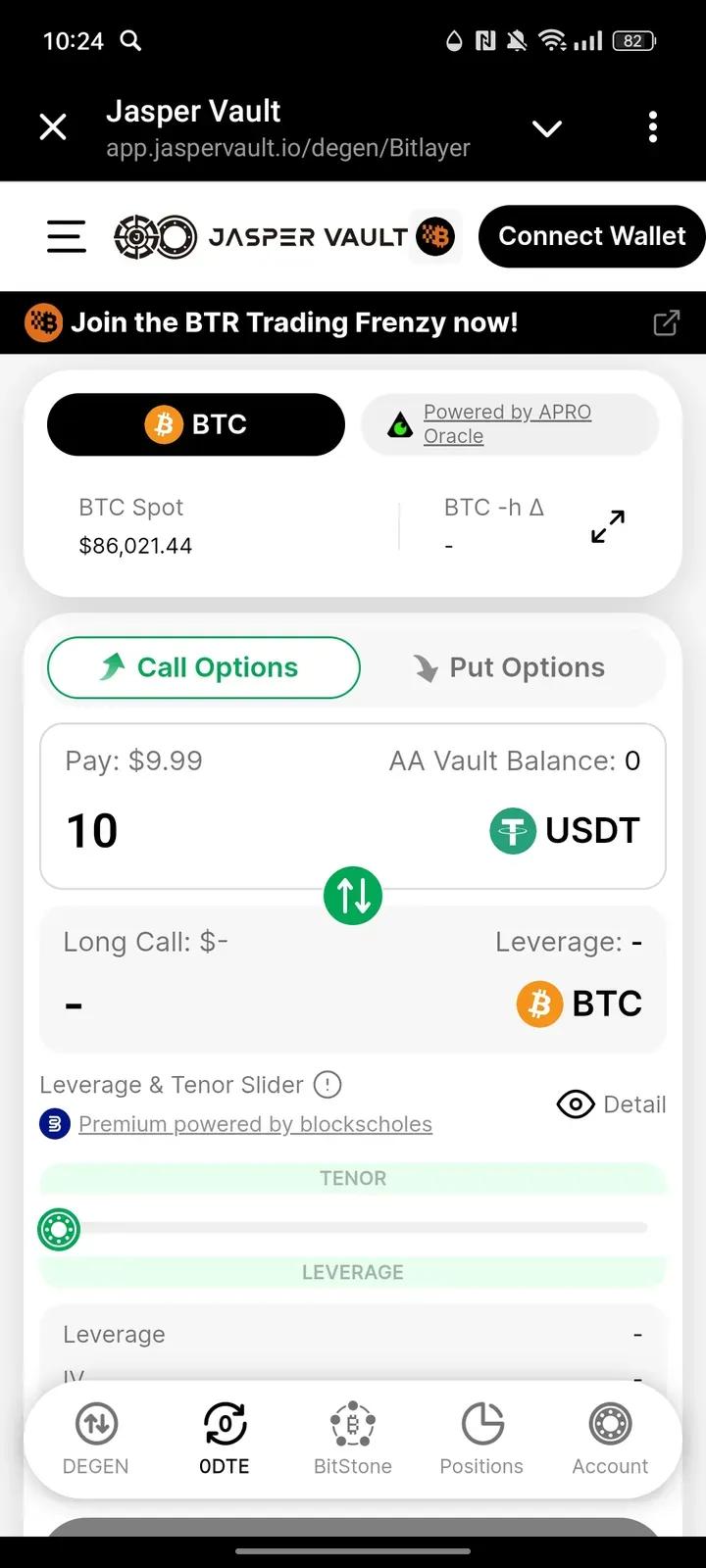 Jasper Vault Mini BTC 2