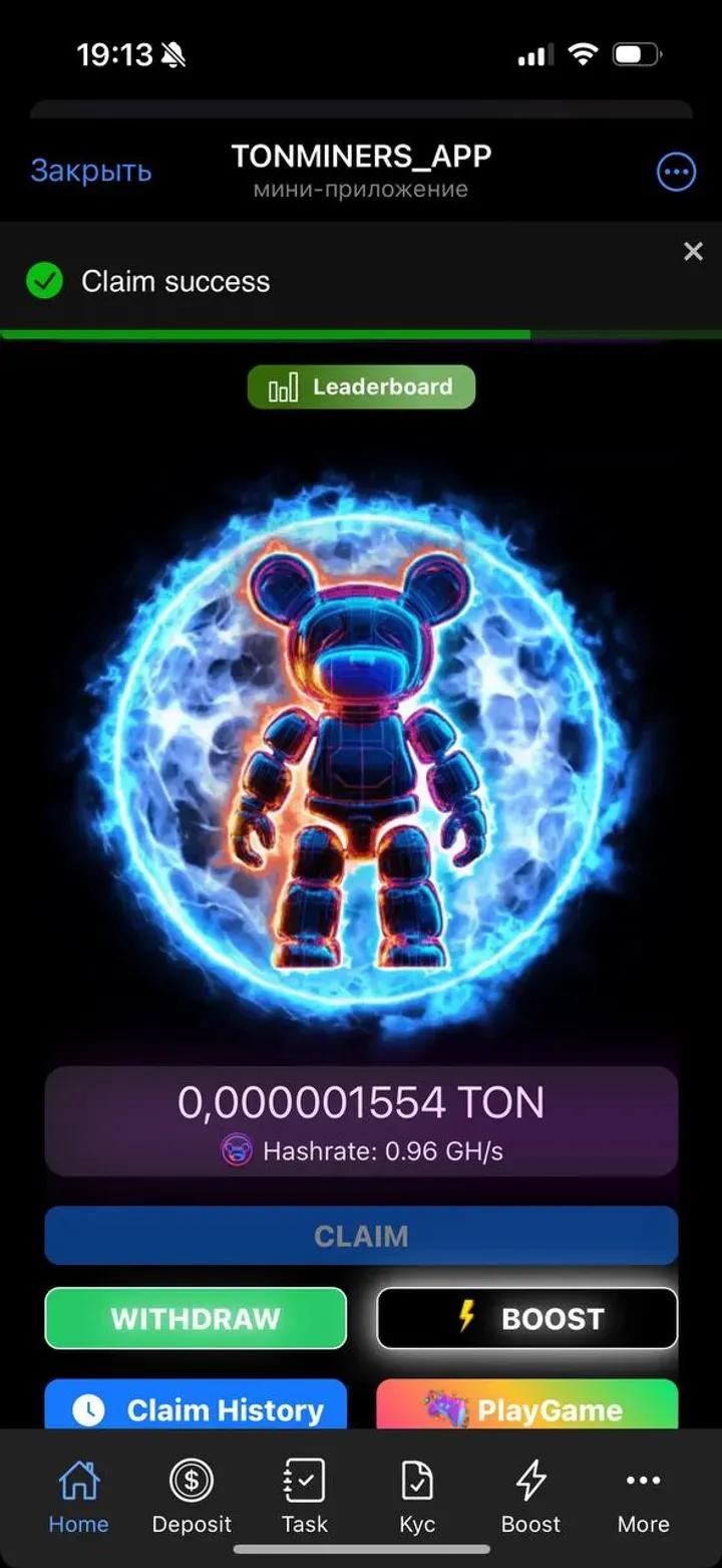 SEI BEAR APP 1