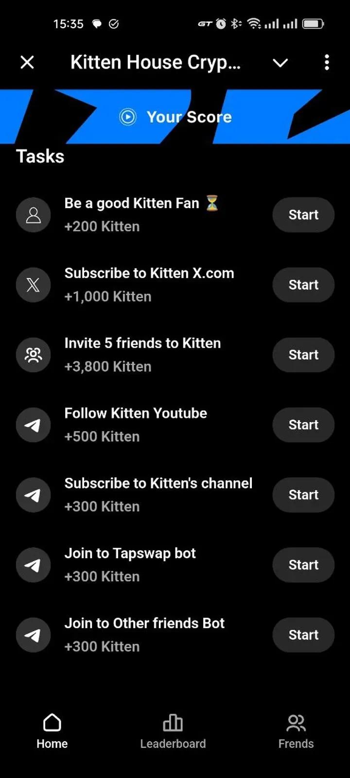 Kitten House Crypto 5