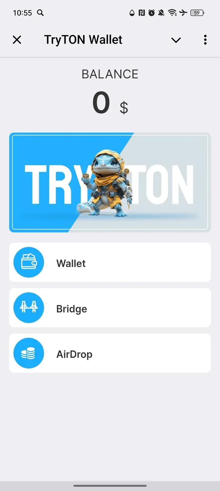 TryTON Wallet 1