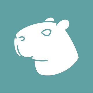 icon of Capybara VPN