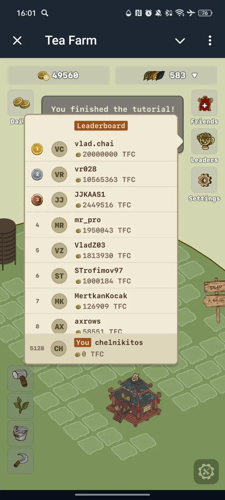 Tea Farm 4