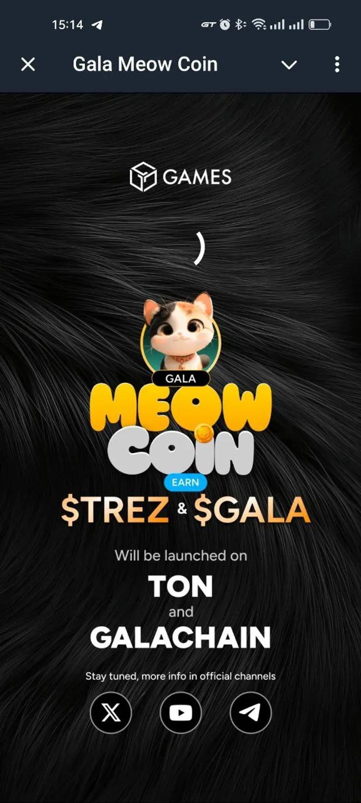Gala Meow Coin 1
