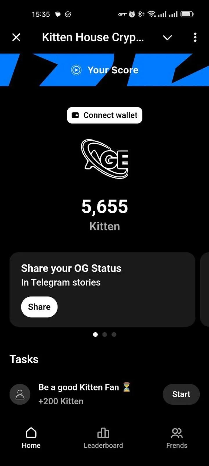 Kitten House Crypto 3