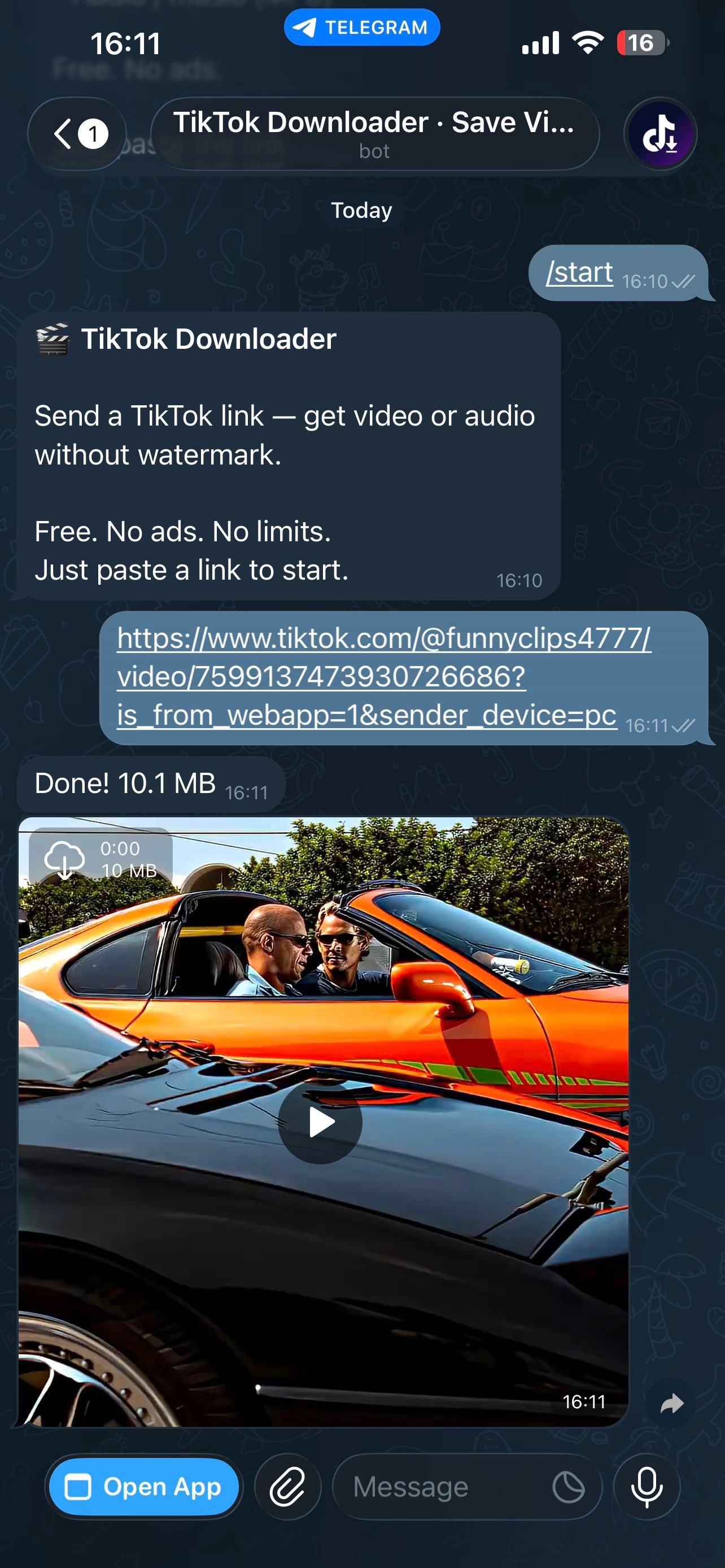 Screenshot of TikTok Downloader · Save Video