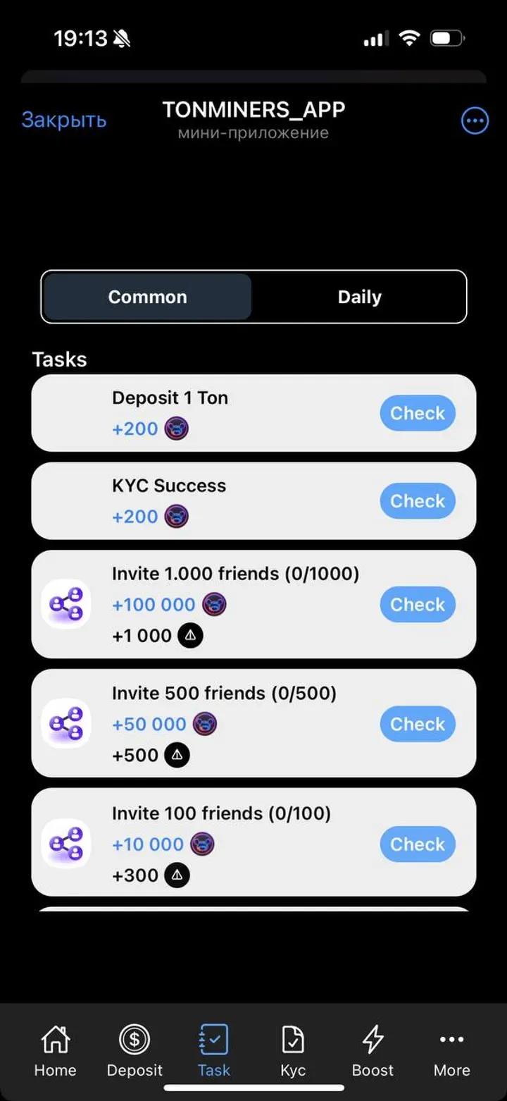 SEI BEAR APP 6