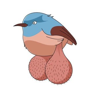 icon of BIG BALLS BIRDS BOT