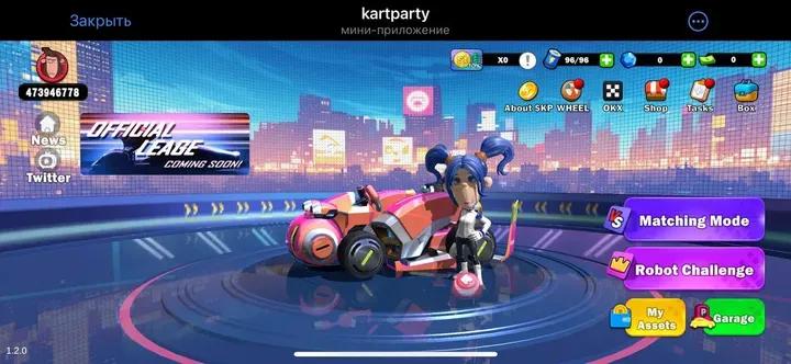 kartparty 2