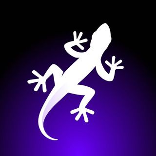 icon of Adrenaline VPN