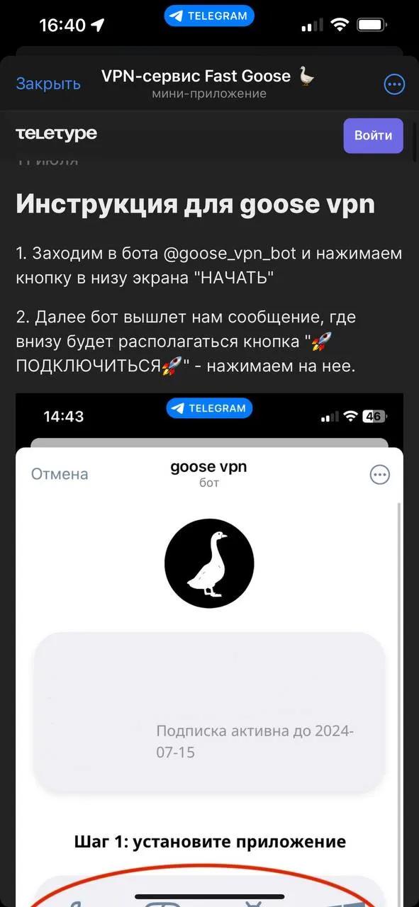 VPN Fast Goose 🪿 2