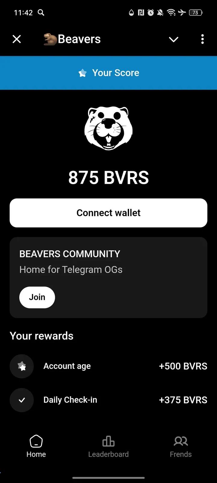 🦫Beavers 2