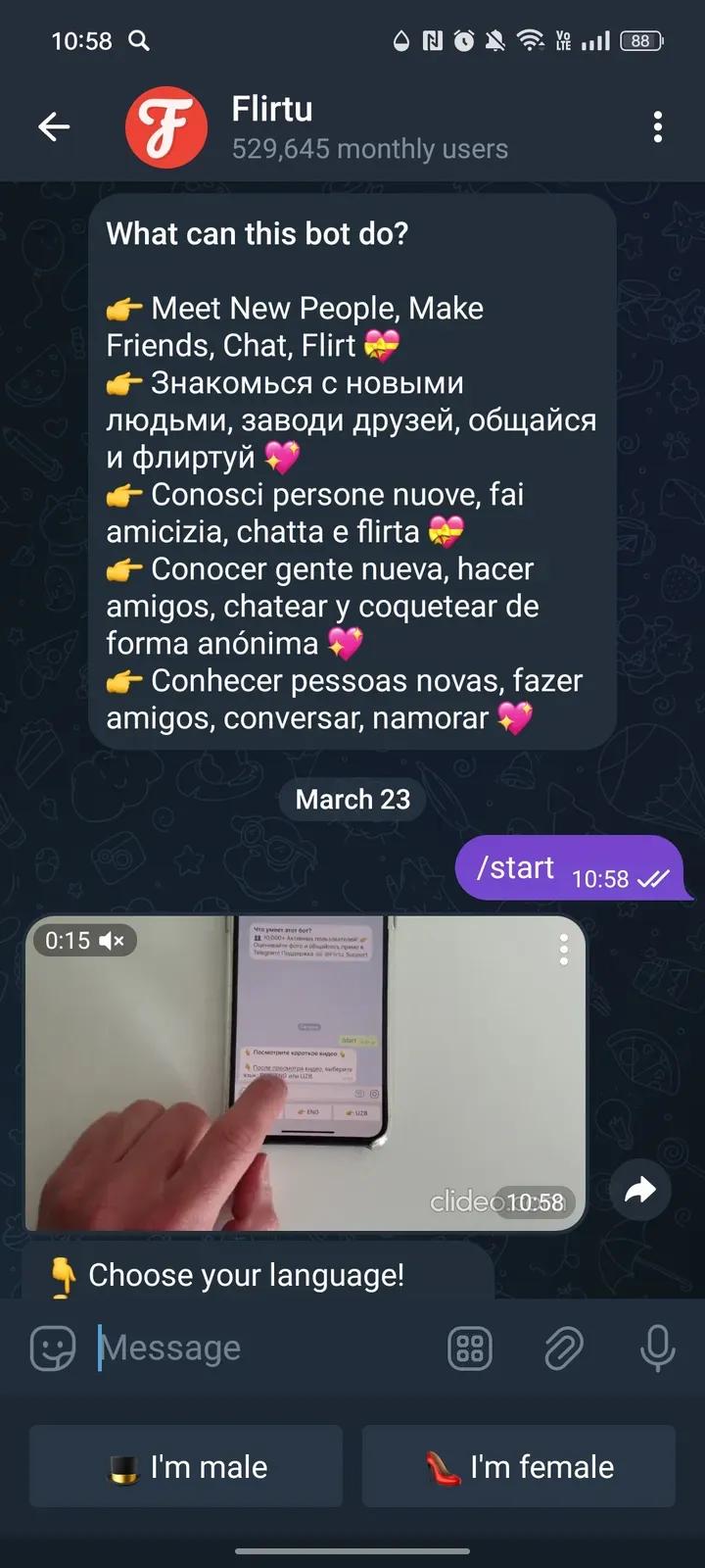 Flirtu 1