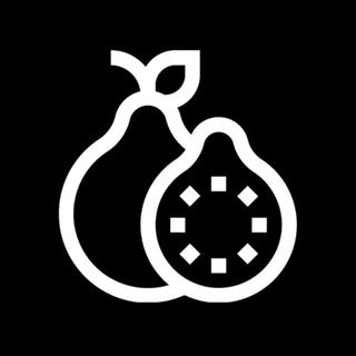 icon of Guava VPN | Happ | v2RayTun