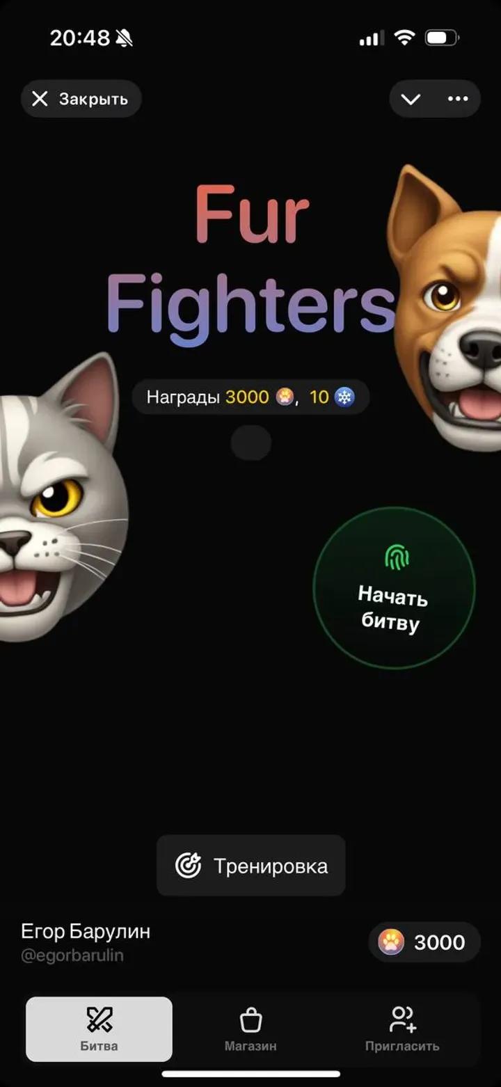 Fur Fighters 4