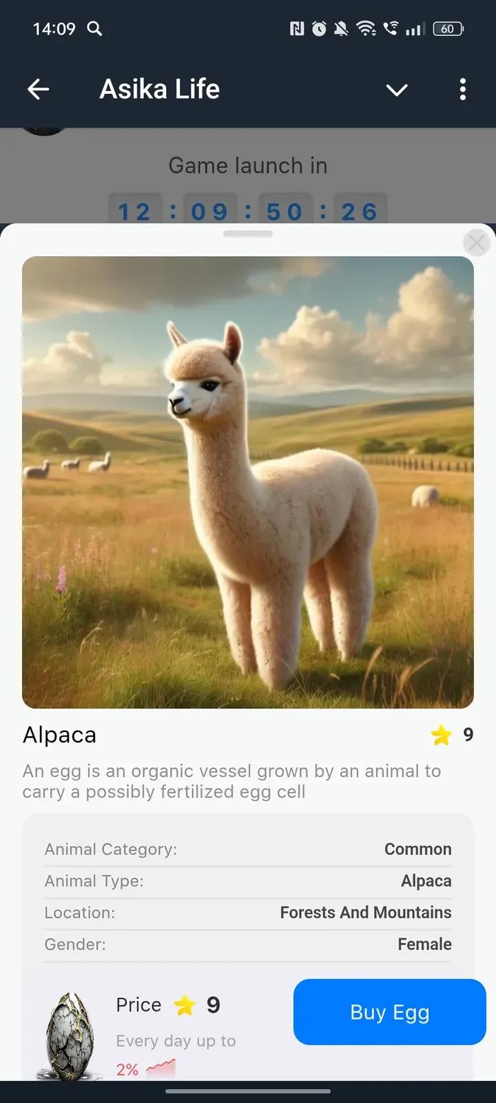 Asika Life Telegram Screenshot 4