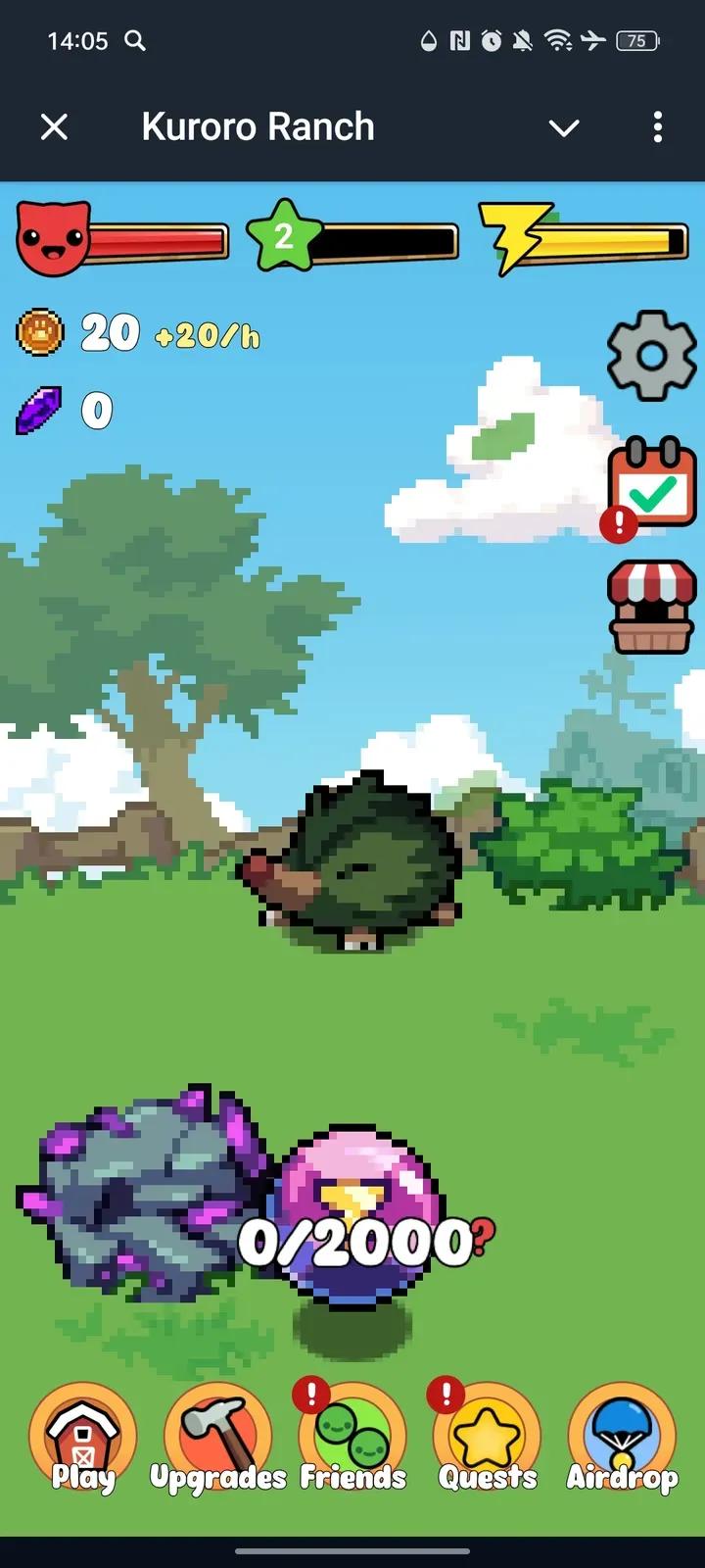 Kuroro Ranch 1