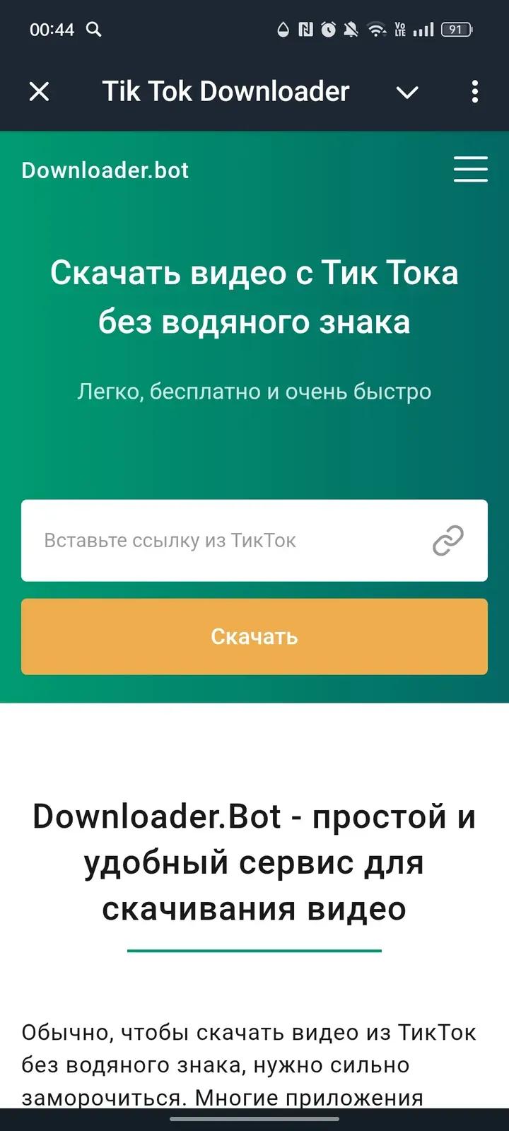 Tik Tok Downloader 1