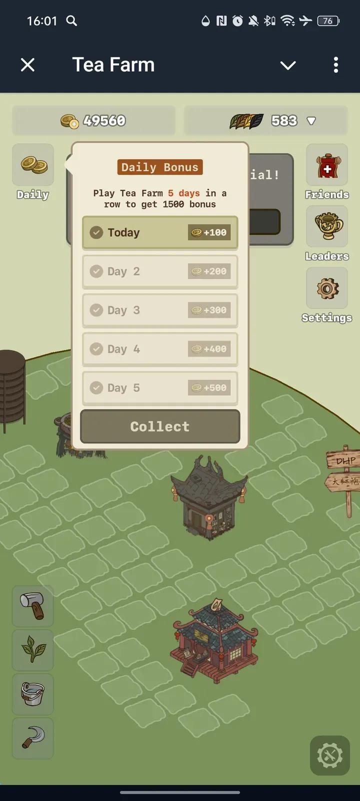 Tea Farm 5