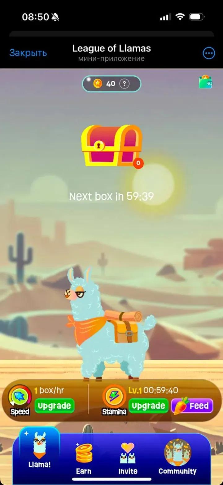 League of Llamas 4